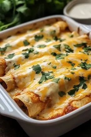 Chicken Enchiladas with Sour Cream White Sauce Recipe